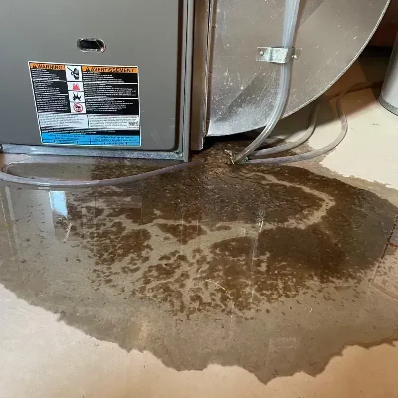 Appliance Leak Cleanup in Schuyler County, IL